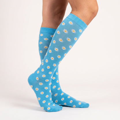 Daisy Blue