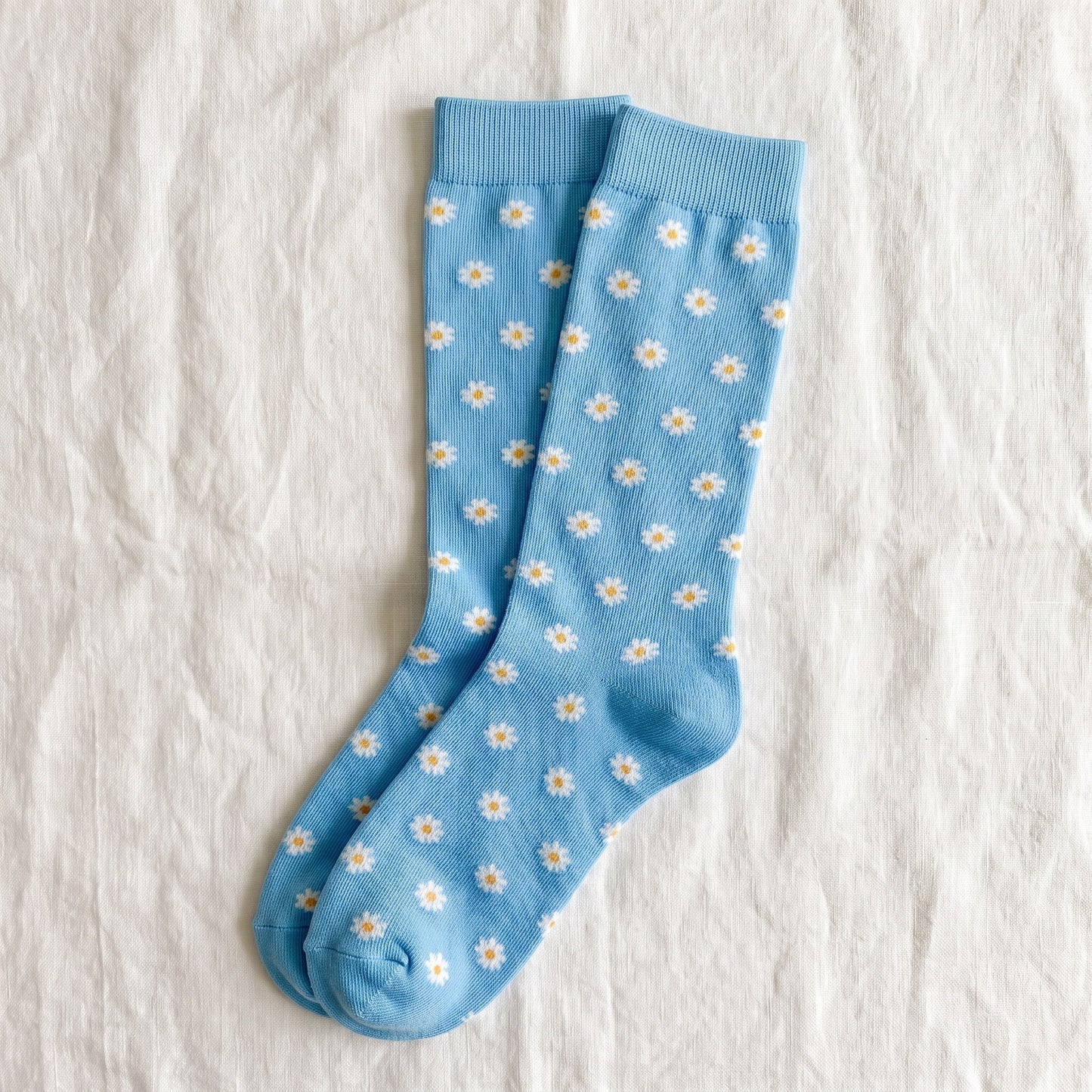Daisy Blue